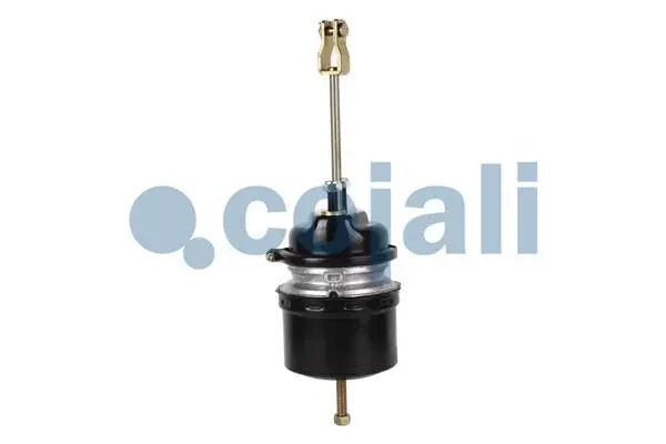 Spring-loaded Cylinder