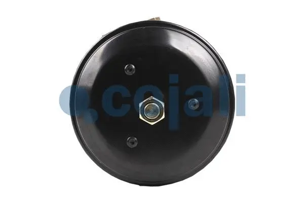 Spring-loaded Cylinder