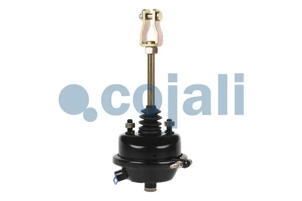 Diaphragm Brake Cylinder (2251101)