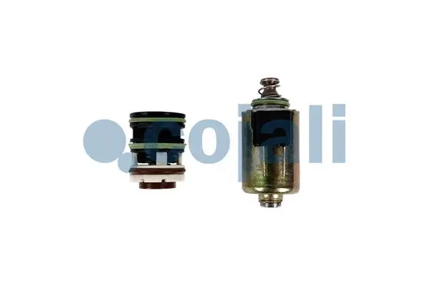 Repair Kit (6012331)