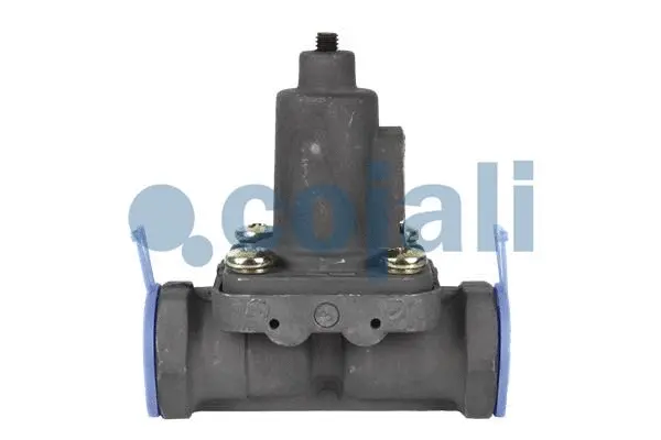 Overflow Valve (2206142)