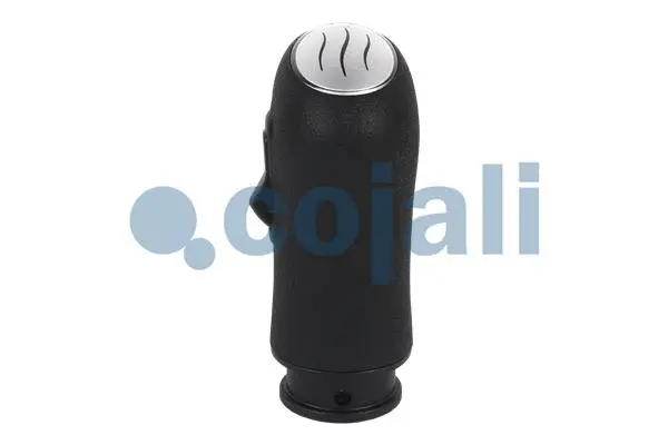 Gear Shift Lever Knob