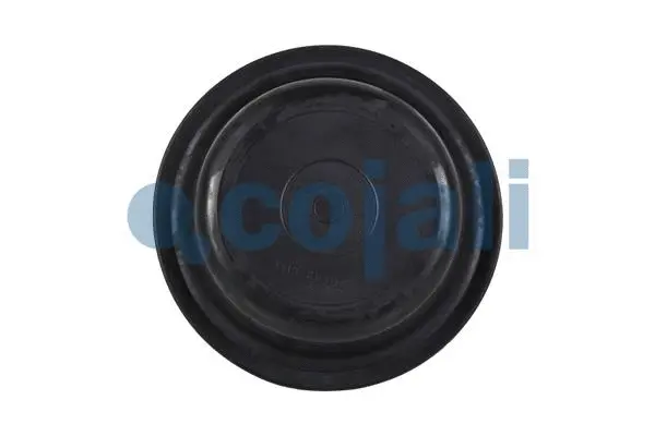 Membrane, spring-loaded cylinder