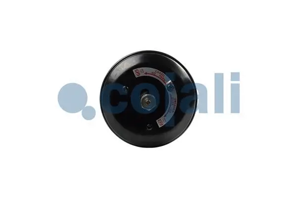 Spring-loaded Cylinder