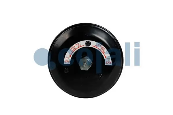 Spring-loaded Cylinder