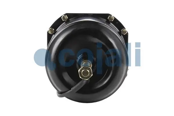 Spring-loaded Cylinder