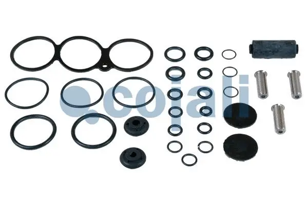 Repair Kit, air spring valve (6012276)