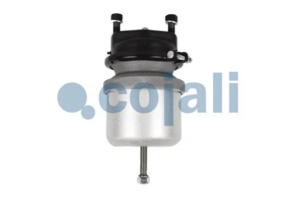 Spring-loaded Cylinder