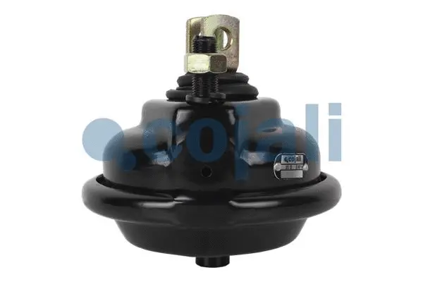 Diaphragm Brake Cylinder