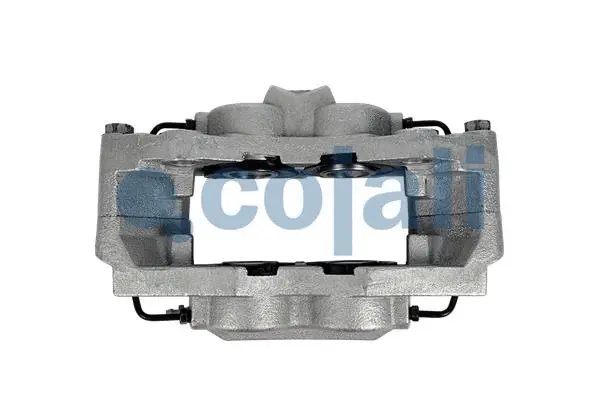 Brake Caliper (3002590)