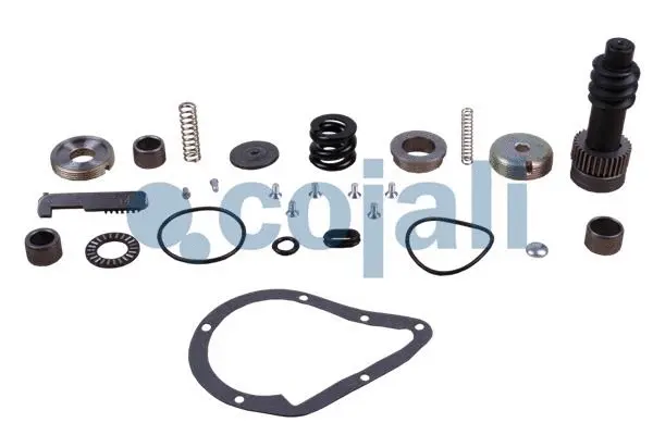 Repair Kit (6016043)