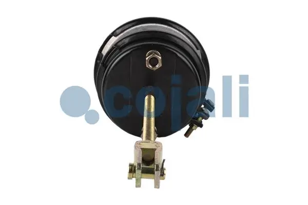 Multi-function Brake Cylinder