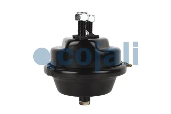 Diaphragm Brake Cylinder