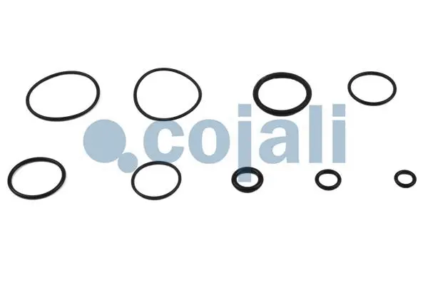 Repair Kit, clutch booster