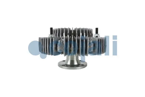 Clutch, radiator fan (8136103)