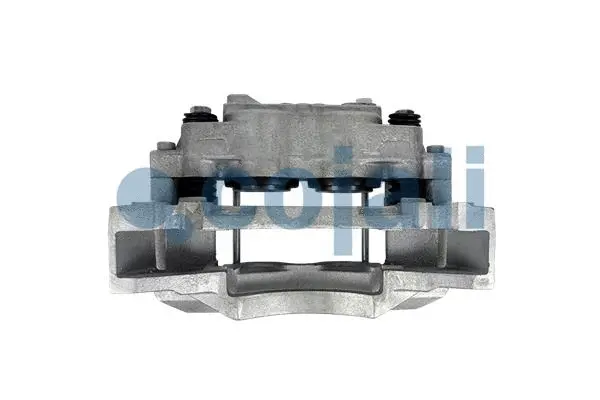 Brake Caliper (3002152)