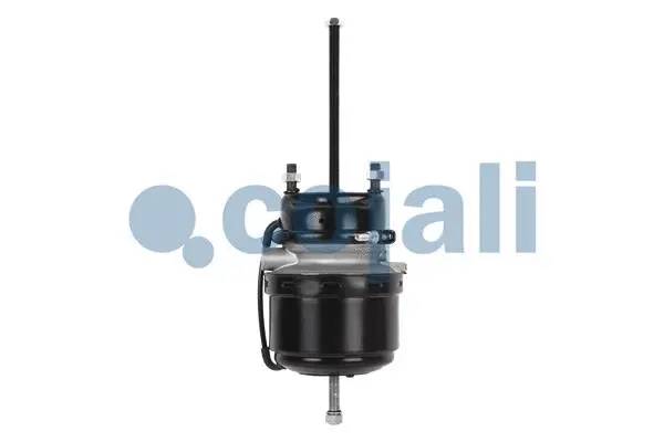 Spring-loaded Cylinder