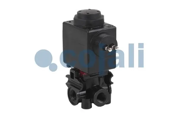 Solenoid Valve (2880123)