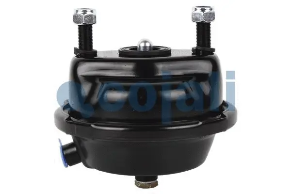 Diaphragm Brake Cylinder