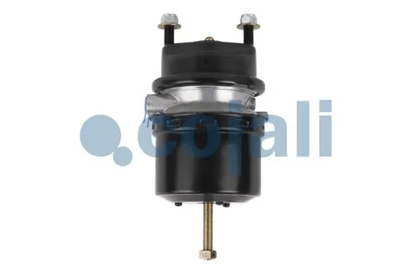 Spring-loaded Cylinder