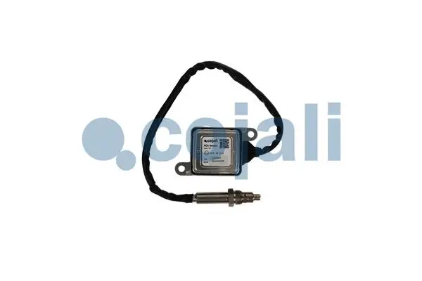 Exhaust Gas Analyzer