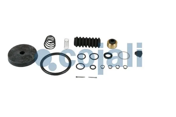 Repair Kit, brake force regulator (6012070)