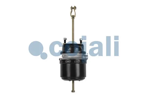 Spring-loaded Cylinder