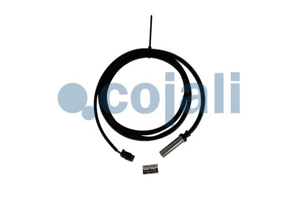 Sensor, wheel speed (2261030)