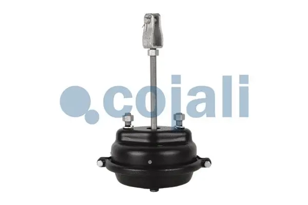 Diaphragm Brake Cylinder