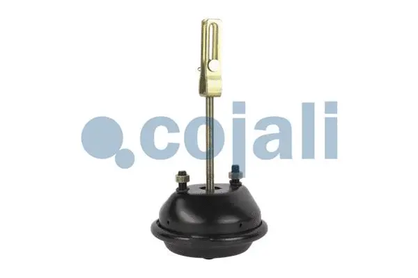 Diaphragm Brake Cylinder