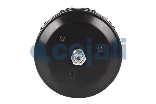 Spring-loaded Cylinder