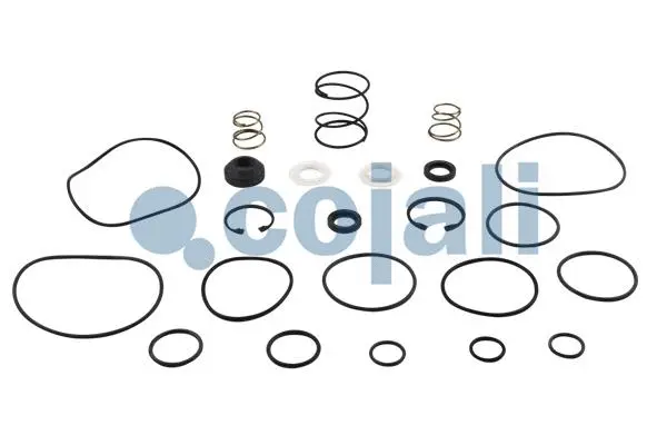 Repair Kit, service brake brake valve (6012063)