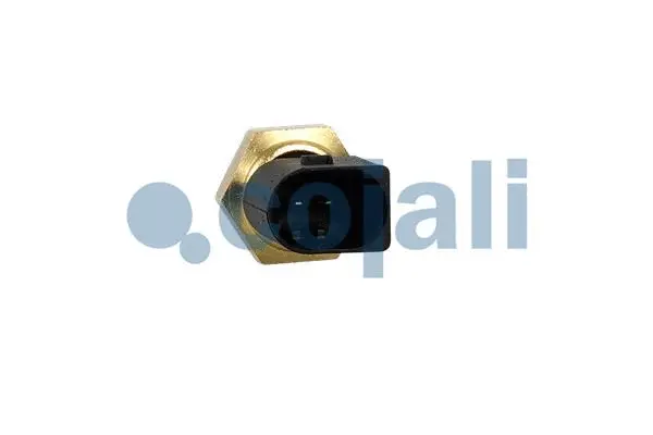 Sensor, fuel temperature