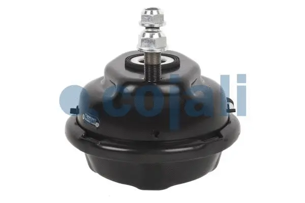 Diaphragm Brake Cylinder