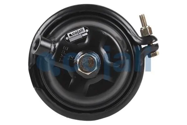 Diaphragm Brake Cylinder