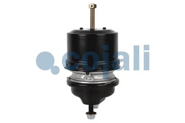 Spring-loaded Cylinder