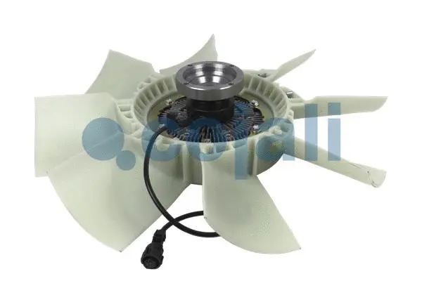 Fan, engine cooling