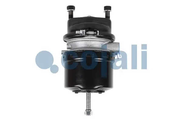 Spring-loaded Cylinder