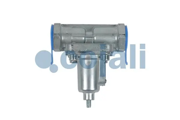 Overflow Valve