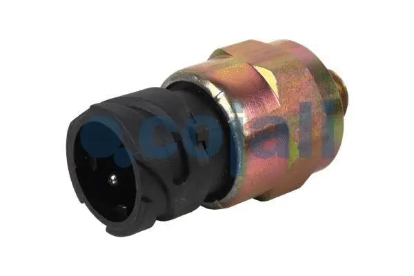 Pressure Switch, brake hydraulics (2260416)