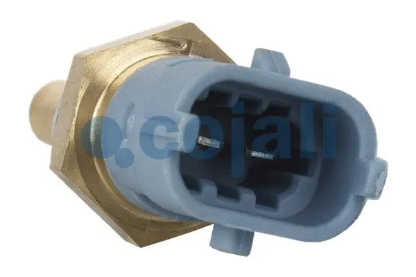 Sensor, coolant temperature