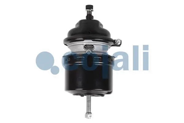 Spring-loaded Cylinder