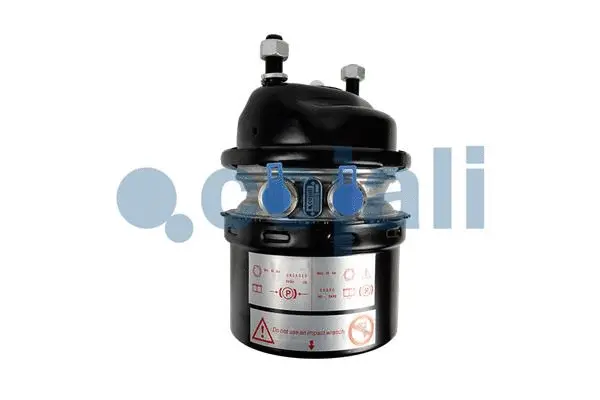 Spring-loaded Cylinder (2251557)