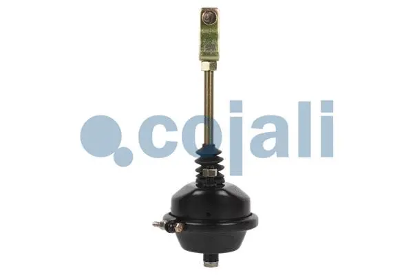 Diaphragm Brake Cylinder