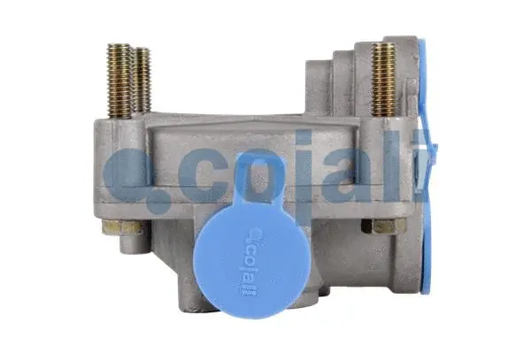 Relay Valve (2226617)