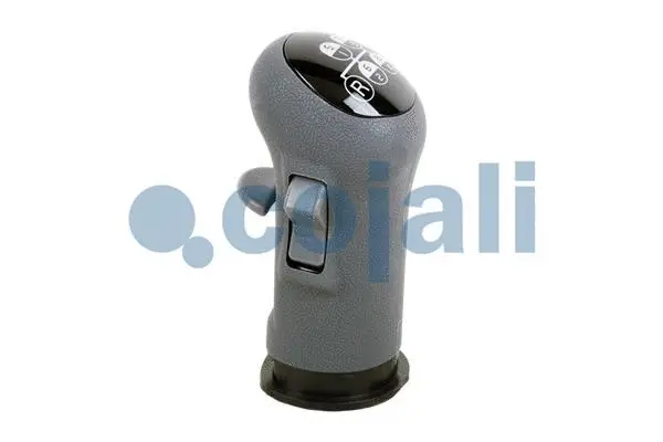 Gear Shift Lever Knob (2880139)