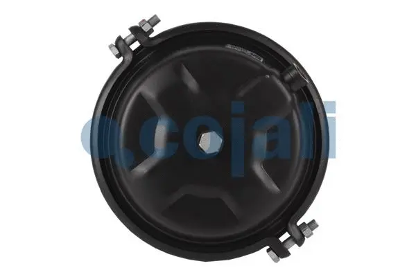 Diaphragm Brake Cylinder