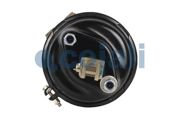 Spring-loaded Cylinder