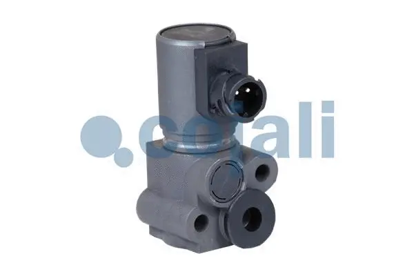 Solenoid Valve (2880100)