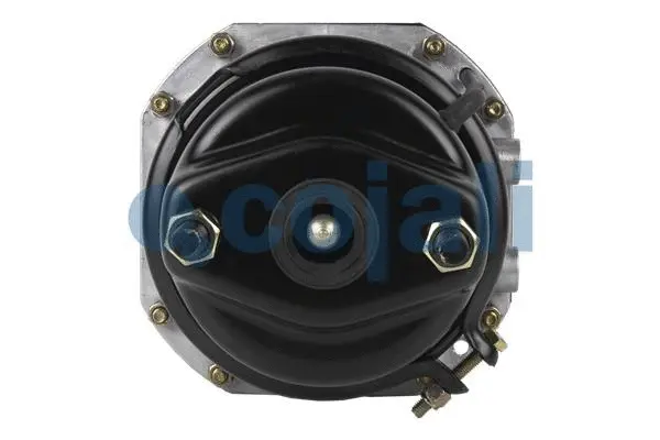 Spring-loaded Cylinder